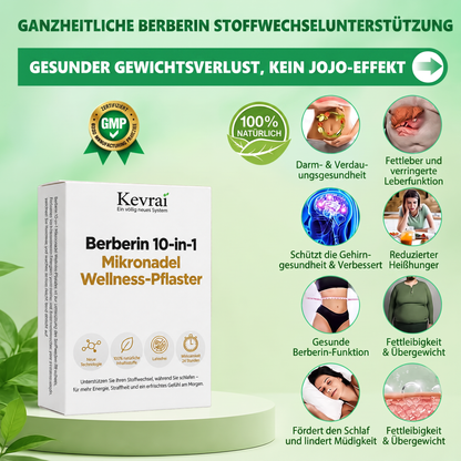 Von Ärzten empfohlen 🌟 | Kevrai® Berberin 10-in-1 Nano-Mikronadelpflaster | ✅ Wissenschaftlich fundierte Formel | Fortschrittliche 10-in-1-Mischung | Sichtbare Ergebnisse in 7 Tagen 🏅
