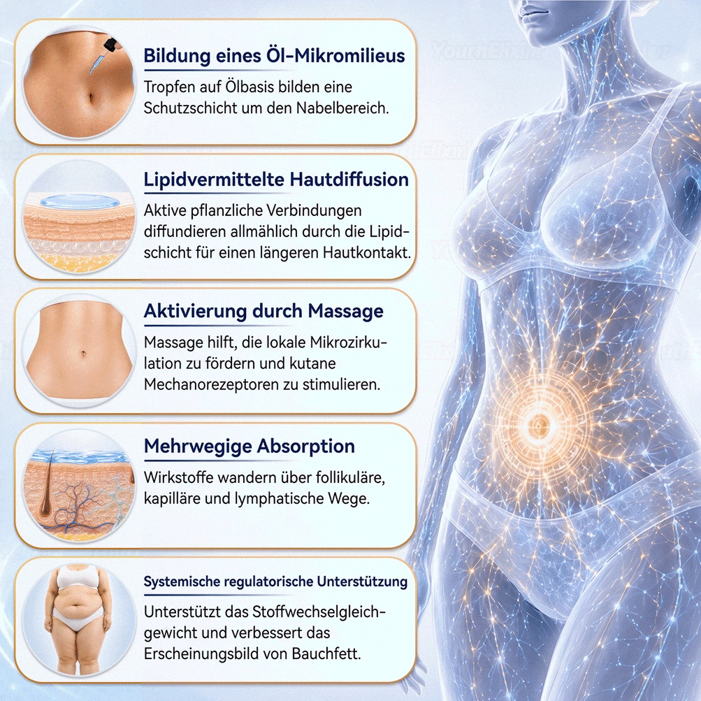 🌻🌻 YouthElixir® Metabolism Navel Drops – Mit hexan-freiem Rizinusöl und Corosolsäure für die Unterstützung der Stoffwechselbalance, des Gewichtsmanagements, der Hautpflege, der Energieversorgung und des allgemeinen Wohlbefindens.